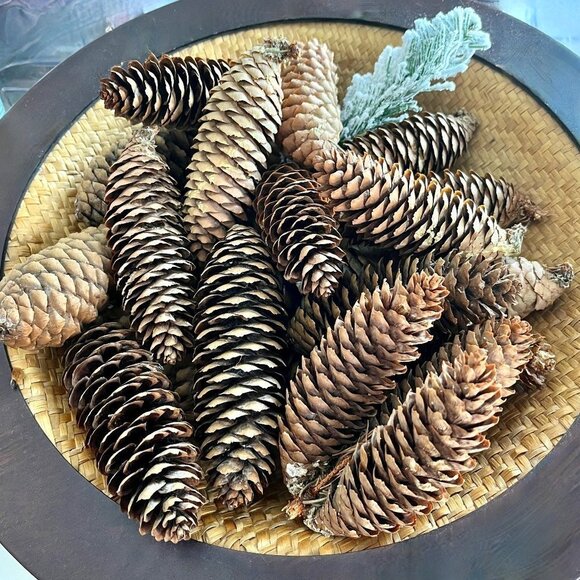 𝅺24 Scented Norway Spruce Pine Cones Shimmery Fragrant Frosted Coconut Ball - Picture 1 of 4